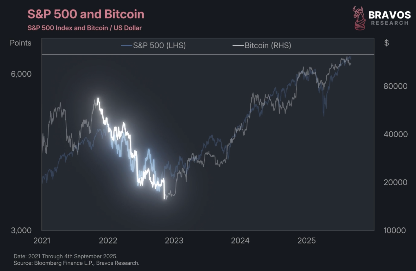 Bitcoin Treasury Companies: Smart Strategy or Systemic Risk? - Bravos  Research