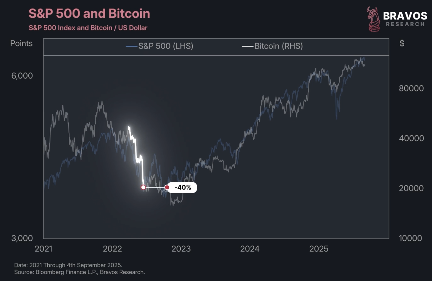 Bitcoin Treasury Companies: Smart Strategy or Systemic Risk? - Bravos  Research